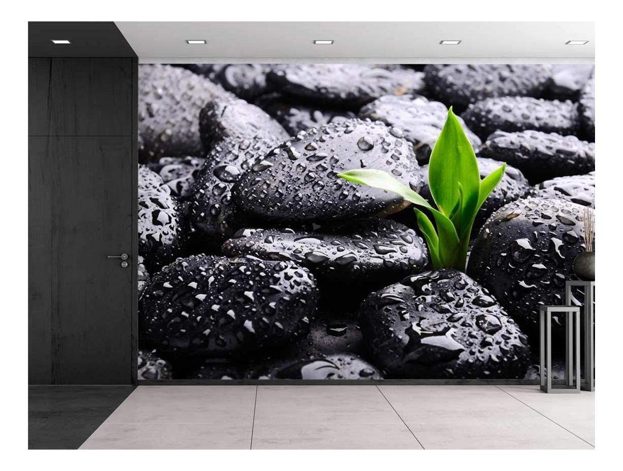 Wall26 - Rain Drops Over Black Rocks and Green Plant Wall Mural - 100x144 Inches Large Removable Peel & Stick Wallpaper - Modern Home Decor for Living Room, Bedroom, Office