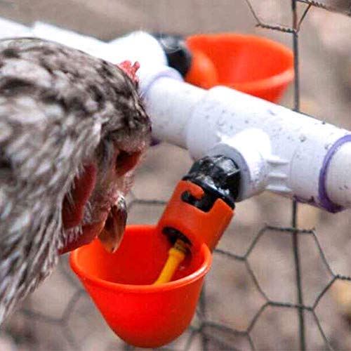 Automatic Chicken Drinker Cups - 12 Pack Red Poultry Waterer for Coop, Birds & Fowl - Durable No-Spill Design for Backyard Chickens, Ducks & Small Animals - Perfect for Farm, Homestead & Pet Enclosures