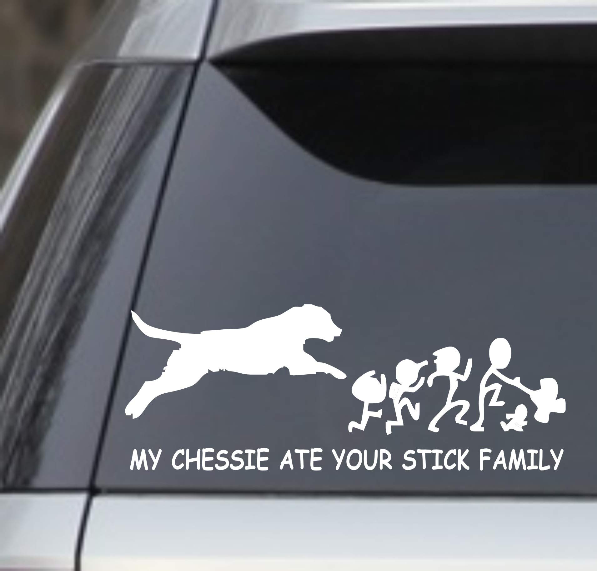 My Chessie Ate Your Stick Family 8