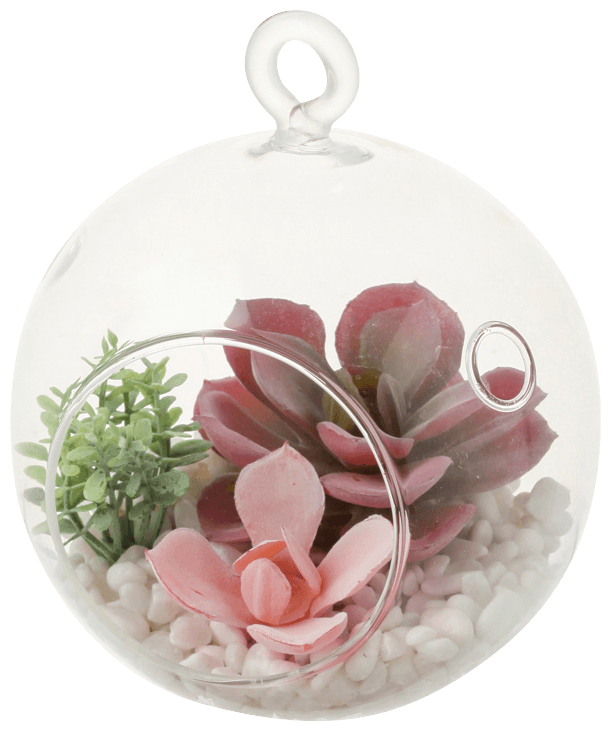 Stylish Pink Ceramic Succulent Pot - Perfect for Home Decor, Office Desk & Garden Plant Display