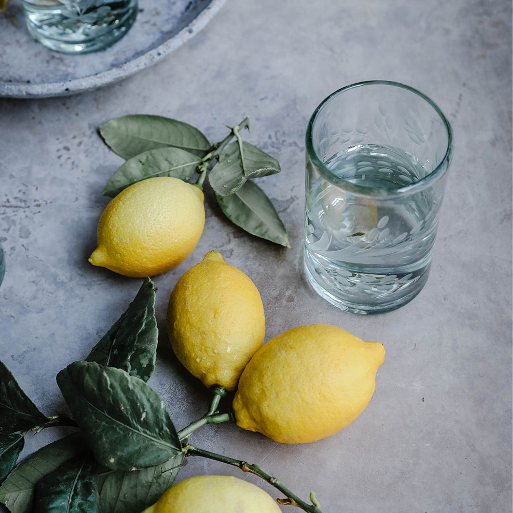 Hand Etched Floral Recycled Glassware Set - Eco-Friendly Drinking Glasses for Wine, Juice & Cocktails - Perfect for Parties, Weddings & Home Decor