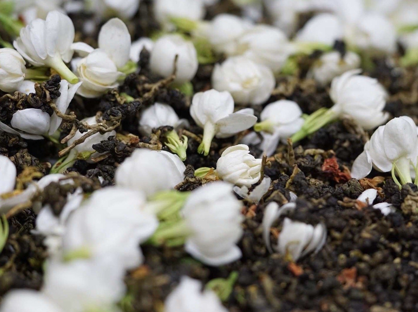 Premium 710 Jasmine Oolong Tea Loose Leaf - Floral Aromatic Taiwanese Tea for Relaxation & Afternoon Tea Time