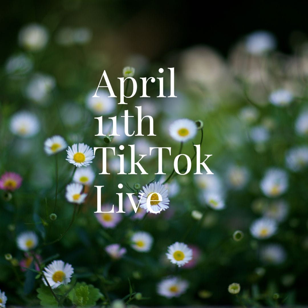 Big Rigs 2 April 11th TikTok Live 2023 - Watch Exciting Trucking Action & Gameplay for Truck Enthusiasts | Perfect for Gaming Streams & Truck Simulator Fans