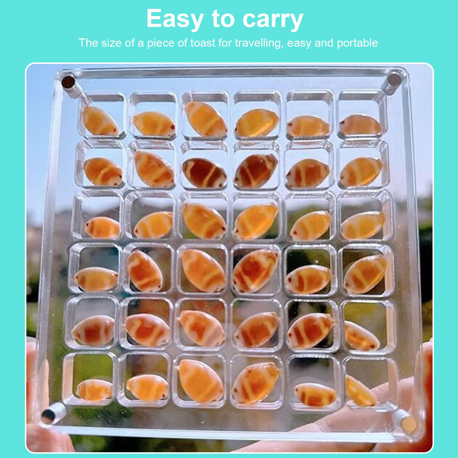 XUYUH Acrylic Magnetic L-Shaped Display Box - Shell Collection & Craft Organizer Storage Box for Small Crafts (Perfect for Jewelry Making, Bead Organizing & DIY Craft Display)