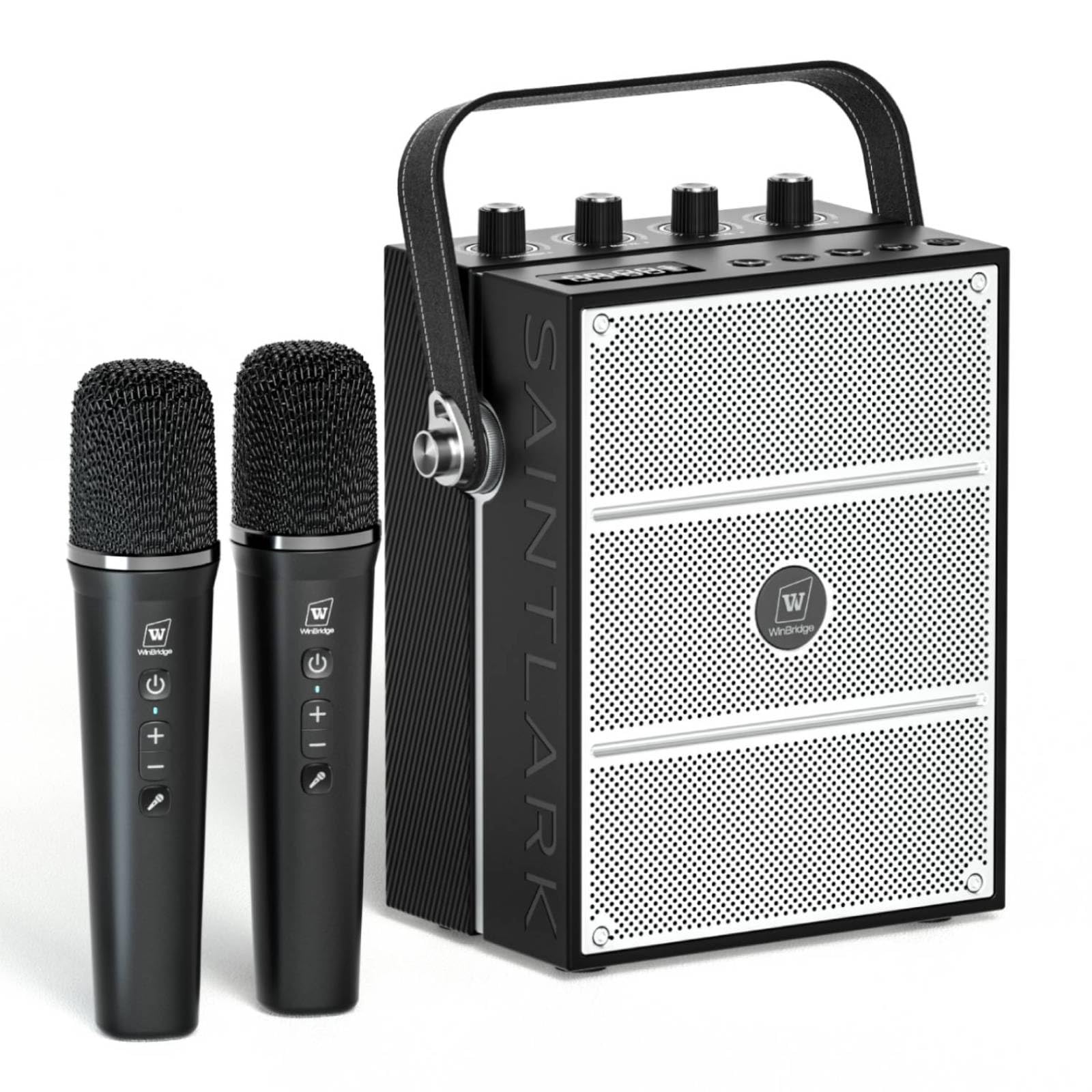 100W Powerful Portable PA Speaker System with 2 Wireless Microphones - Bluetooth 5.0, USB/TF/Aux Input, Karaoke Machine & Guitar Support - Ideal for Outdoor Events, Parties, Public Speaking and Home Karaoke