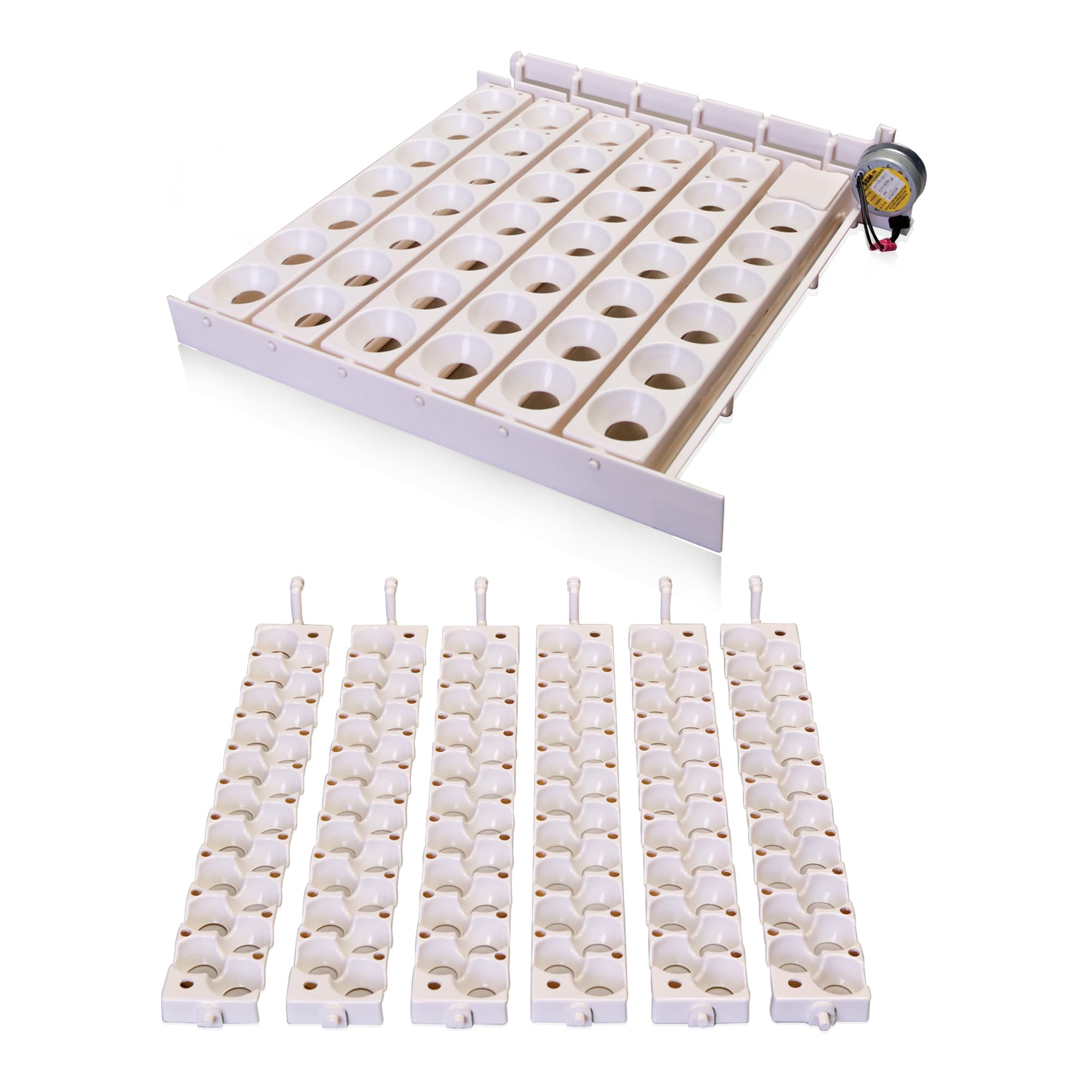 Little Giant Automatic Egg Turner 6300 with Quail Rails - Automatic Egg Rotator for Chicken, Duck & Quail Eggs - Perfect for Incubators & Poultry Farming