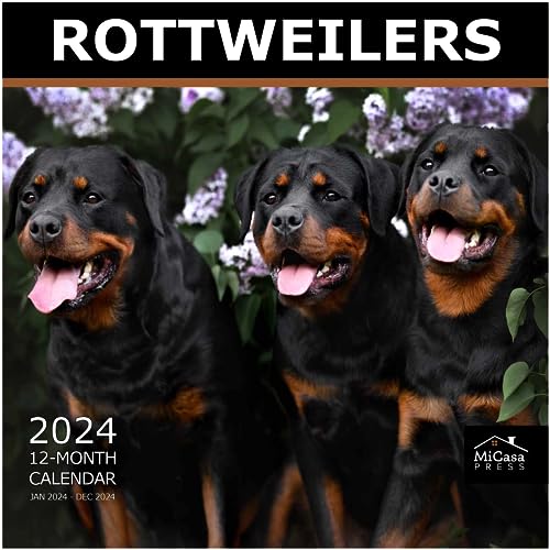 17 - Rottweilers