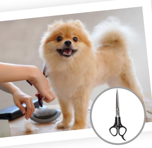 True Face Dog Grooming Kit - Low Noise Rechargeable Cordless Pet Clippers for Dogs & Cats - Professional Electric Hair Trimmer & Shaver for Home Grooming & Pet Spa Days