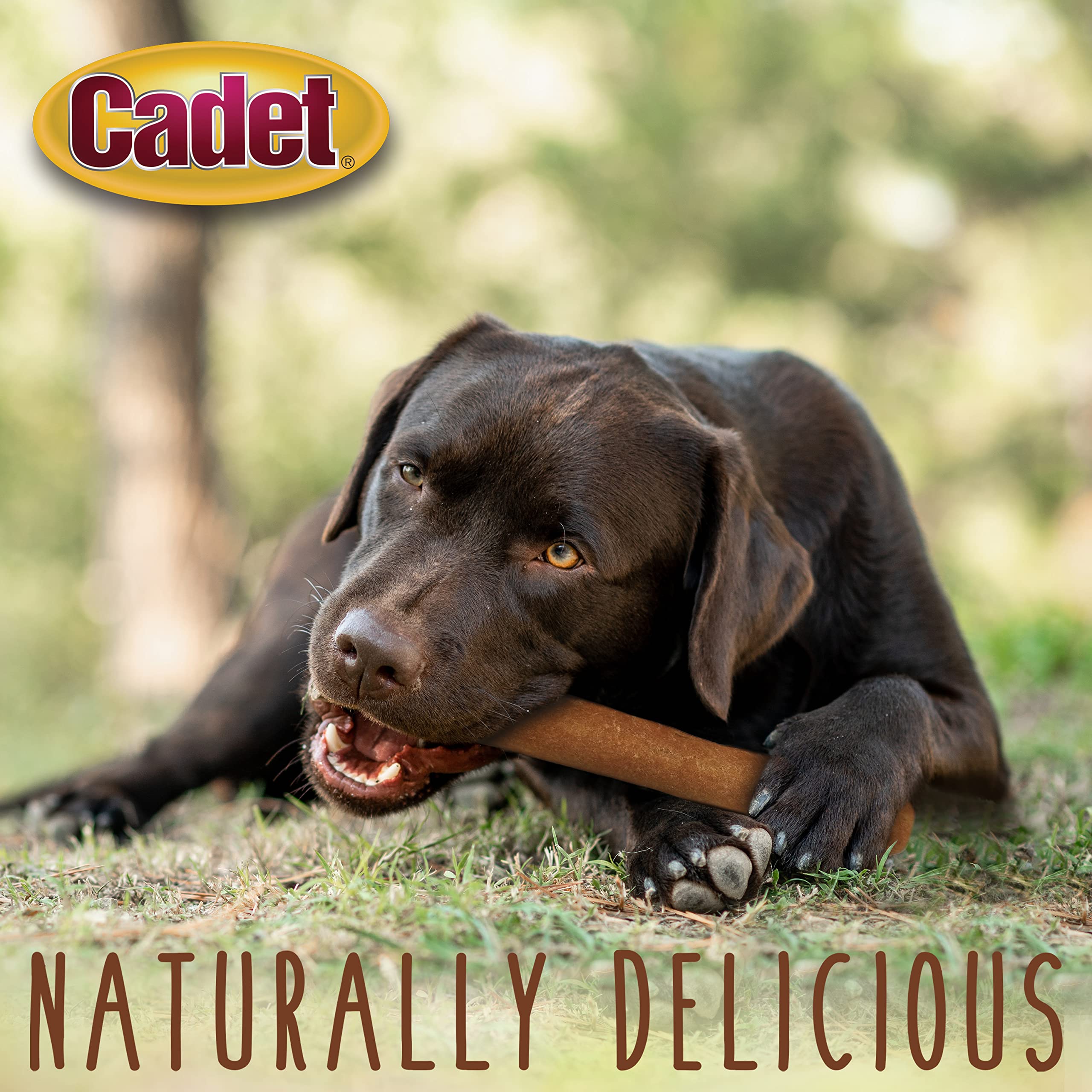 Healthy Rawhide Alternative for Dogs - Cadet Gourmet Savory Chicken Rolls, 6 oz | All-Natural Dog Treats for Training, Chewing & Dental Health