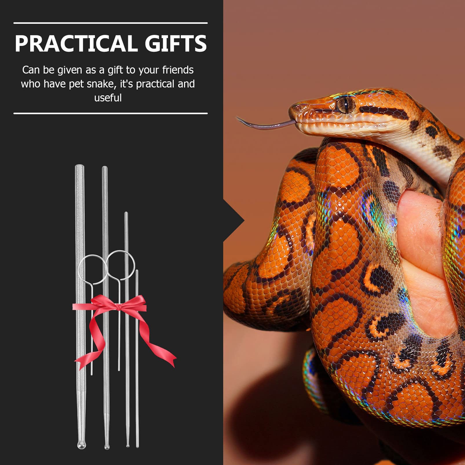 Balacoo Amphibia 6-Piece Snake Probe Kit with Round Tips - Professional Reptile Sexing Probes for Snakes, Lizards & Exotic Pets | Perfect for Breeders, Veterinarians & Herpetologists