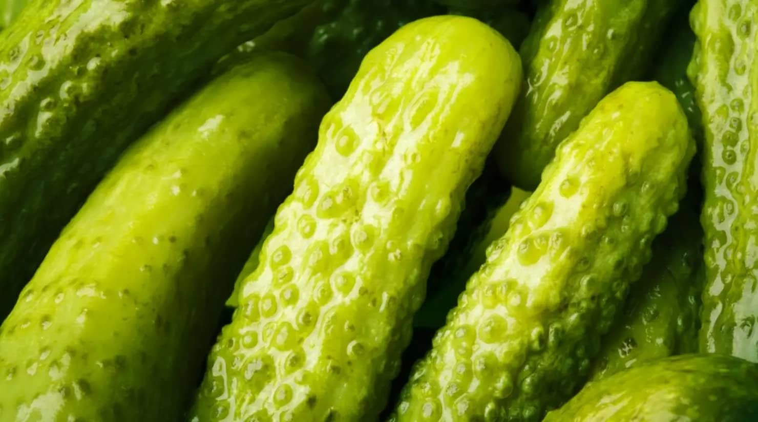 Best Maid Dill Pickles 5 Gallons (60-80 Count) | Bulk Foodservice Pickles for Concession Stands & Restaurants | Gourmet American-Grown Pickles | Perfect for Catering, BBQ Parties & Snack Bars