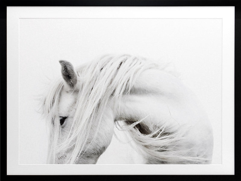 Bashful Framed Art Print - Elegant Wall Decor for Living Room, Bedroom & Office - Perfect Home Decoration Gift