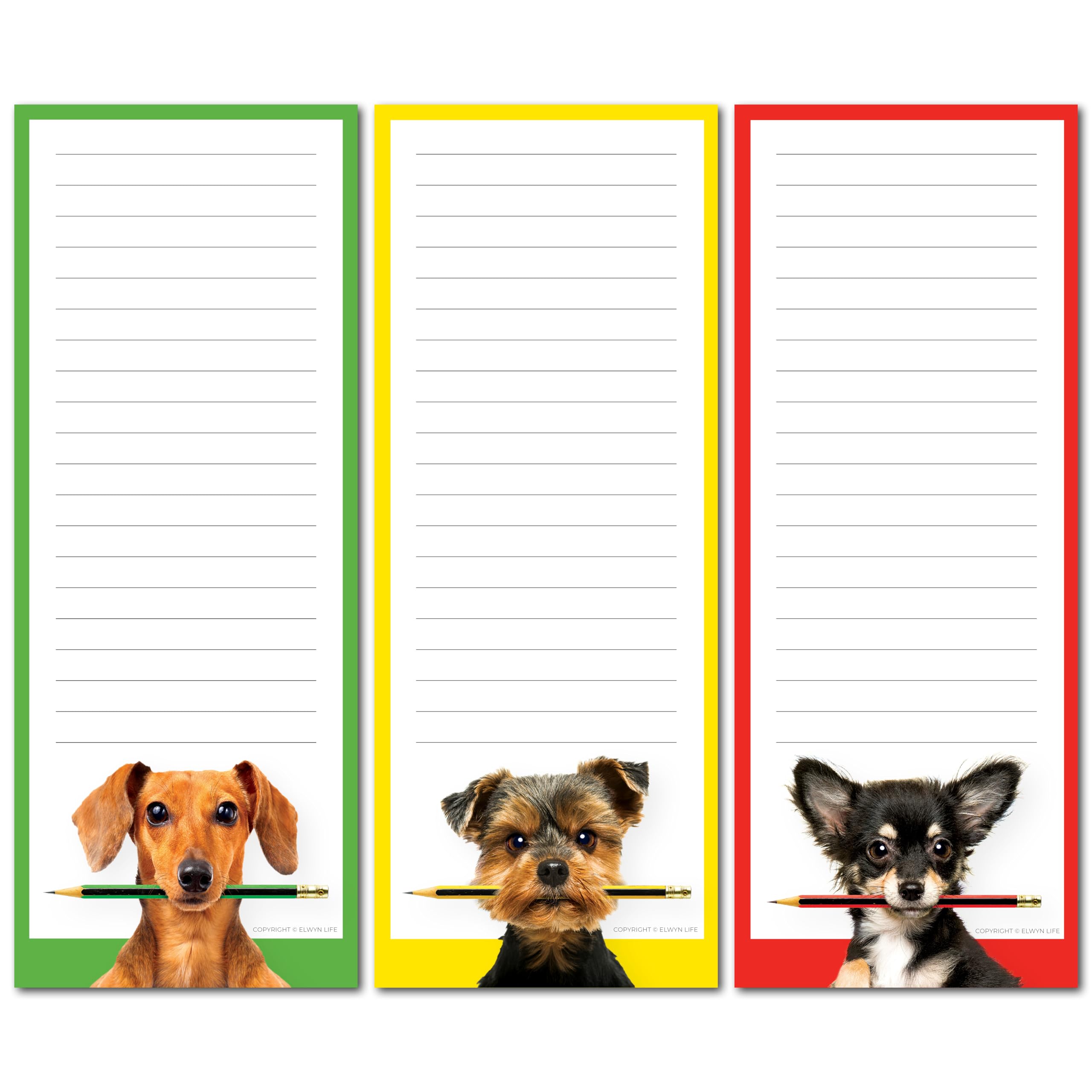 Funny Dogs Refrigerator Magnetic Notepads - 3 Pack (3.5