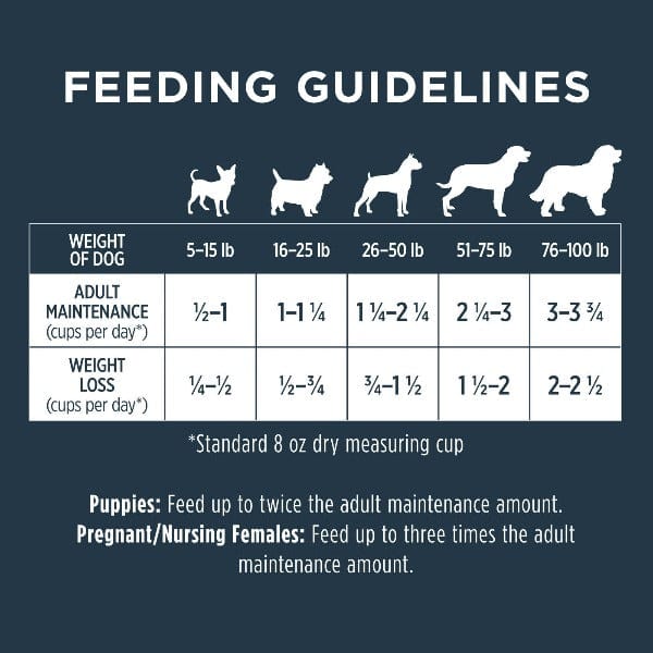 Instinct Raw Boost Grain-Free Dry Dog Food with Real Chicken - High Protein Kibble for Adult Dogs - Perfect for Active Pets & Training Rewards