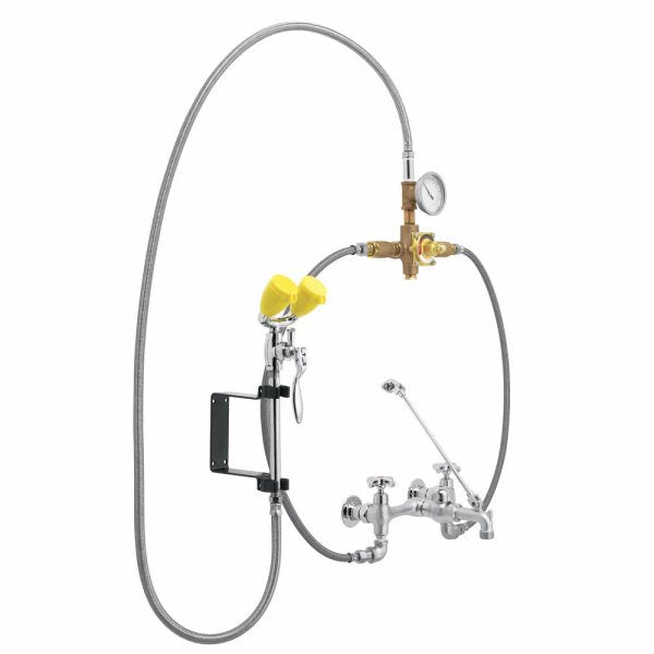 Speakman SEF 9000 TW Eyesaver Service Sink Faucet with Thermostatic Mixing Valve - Commercial Grade Temperature Control for Hospitals, Labs & Industrial Use