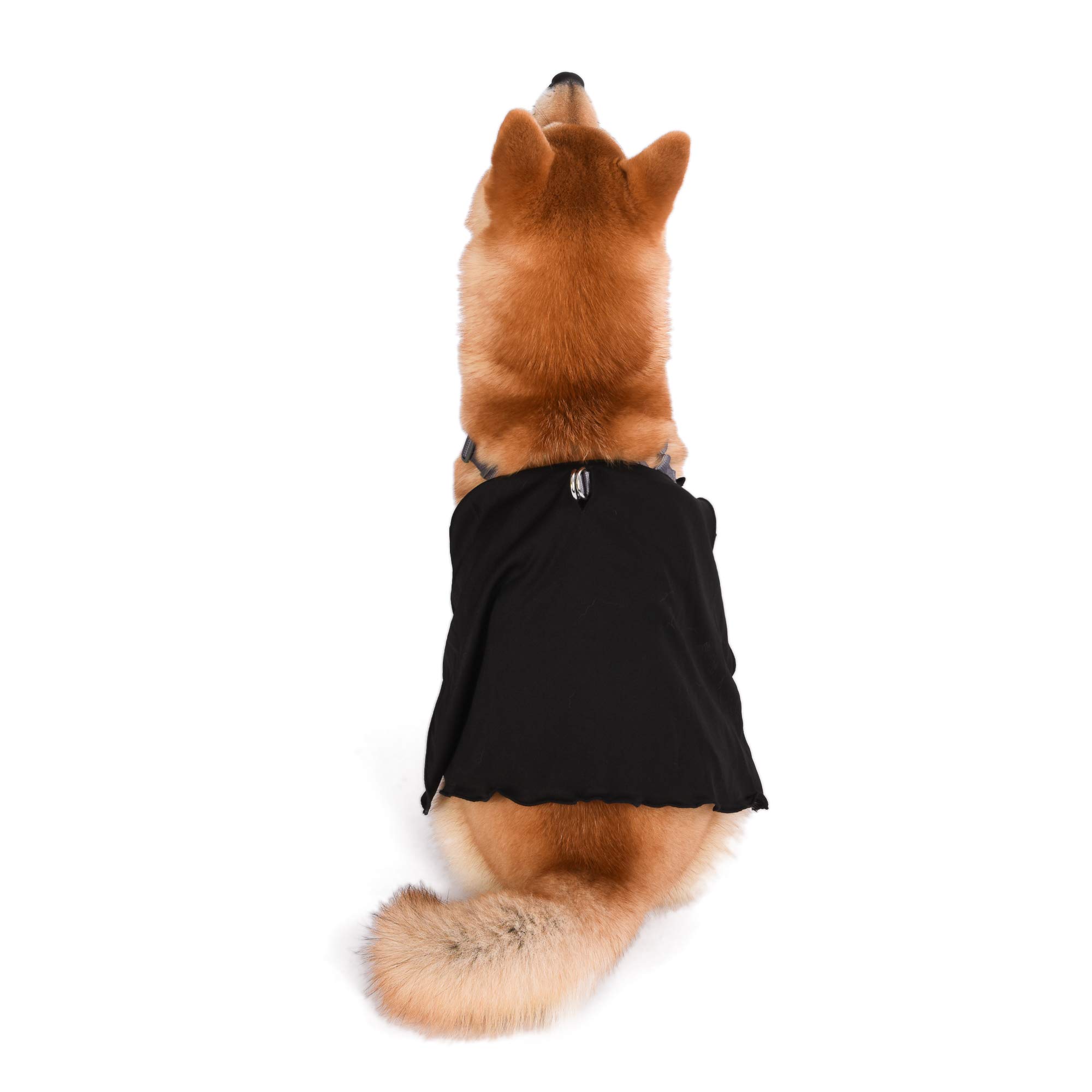 Star Wars Darth Vader Pet Costume Harness for Small Dogs - No Pull Adjustable Dog Vest with Hood | Cute Cosplay Outfit for Halloween, Cosplay Parties & Pet Photo Shoots | Perfect Gift for Star Wars Fans (Size S, Black)