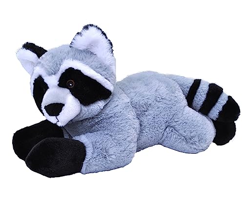 Raccoon