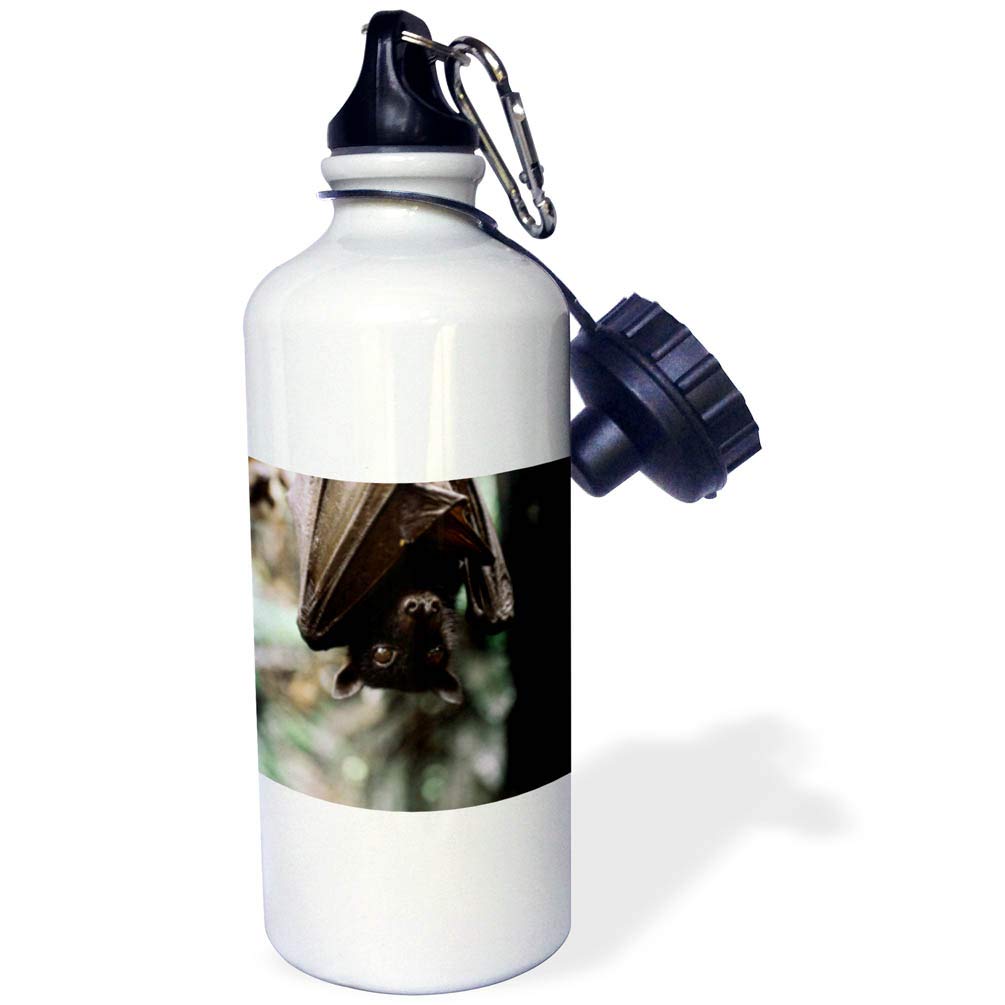 3D Rose Indonesia Insulated Water Bottle - 20oz Stainless Steel Vacuum Flask for Travel, Hiking & Outdoor Activities