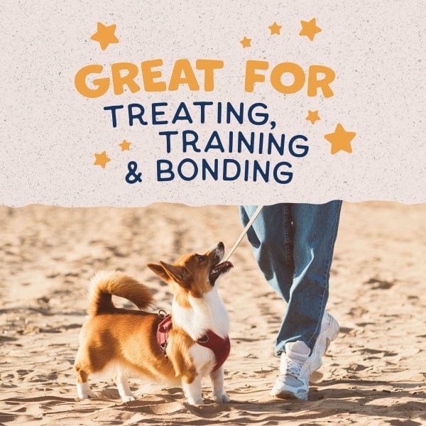 Natural Balance Crunchy Dog Biscuits with Real Duck – Small Breed Recipe, 8oz – Healthy Treats for Training & Dental Care