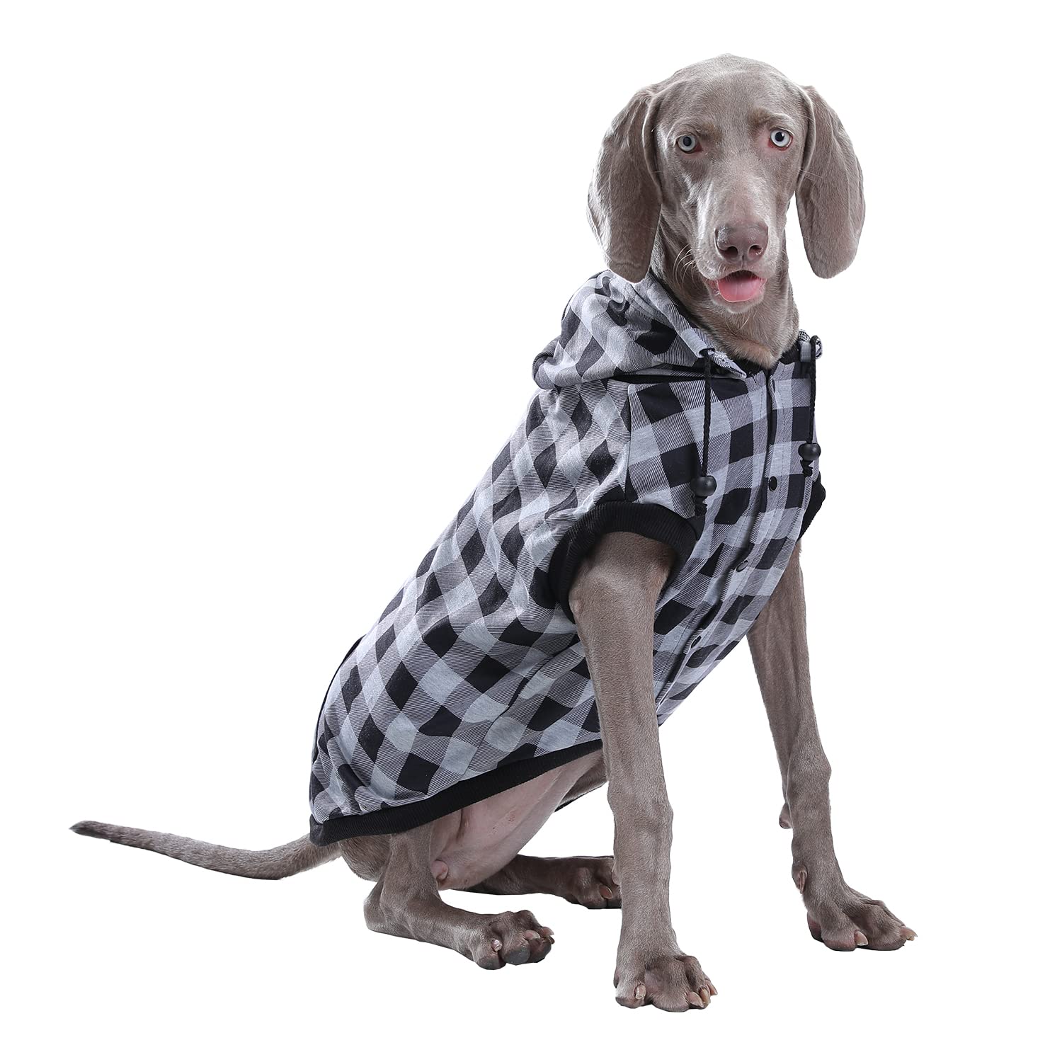 PAWZ Plaid Dog Sweater - British Style Windproof Pet Jacket for Small Medium Large Dogs | Winter Dog Coat for Outdoor Walking, Hiking & Cold Weather Protection (Gray, Small)