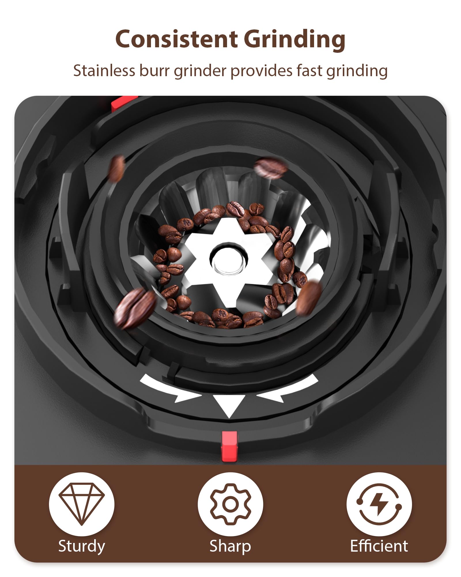 Premium Electric Conical Burr Coffee Grinder - 25 Precise Grind Settings, 2-12 Cup Timer, 3-Ear Portafilter Holder & Cleaning Brush - Perfect for Espresso, French Press & Drip Coffee at Home (Black)