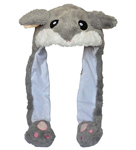 Grey Hamster