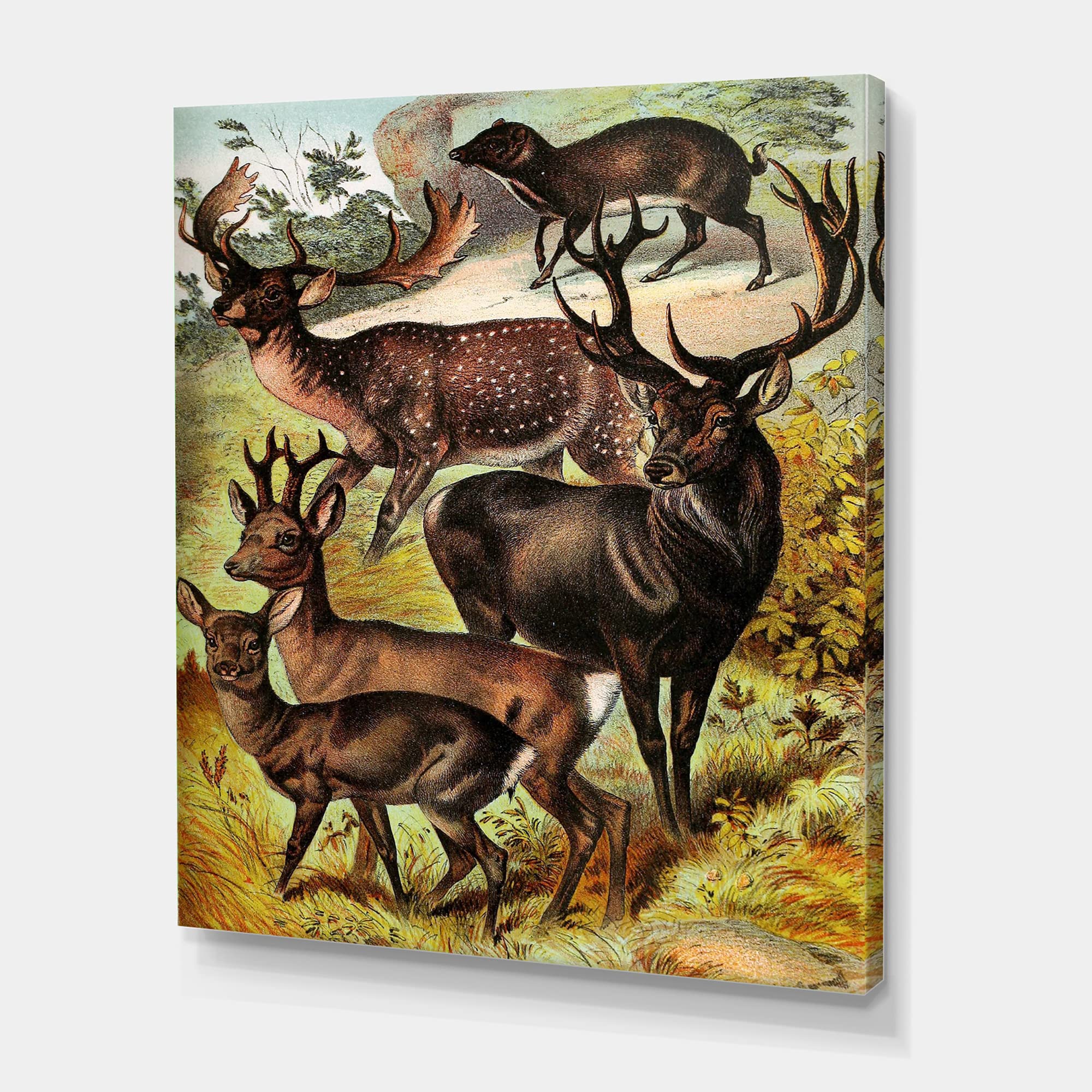 Vintage Mammals I Farmhouse Canvas Wall Art - Handmade Animal Painting for Living Room, Bedroom & Office Decor - Perfect Rustic Home Decor Gift