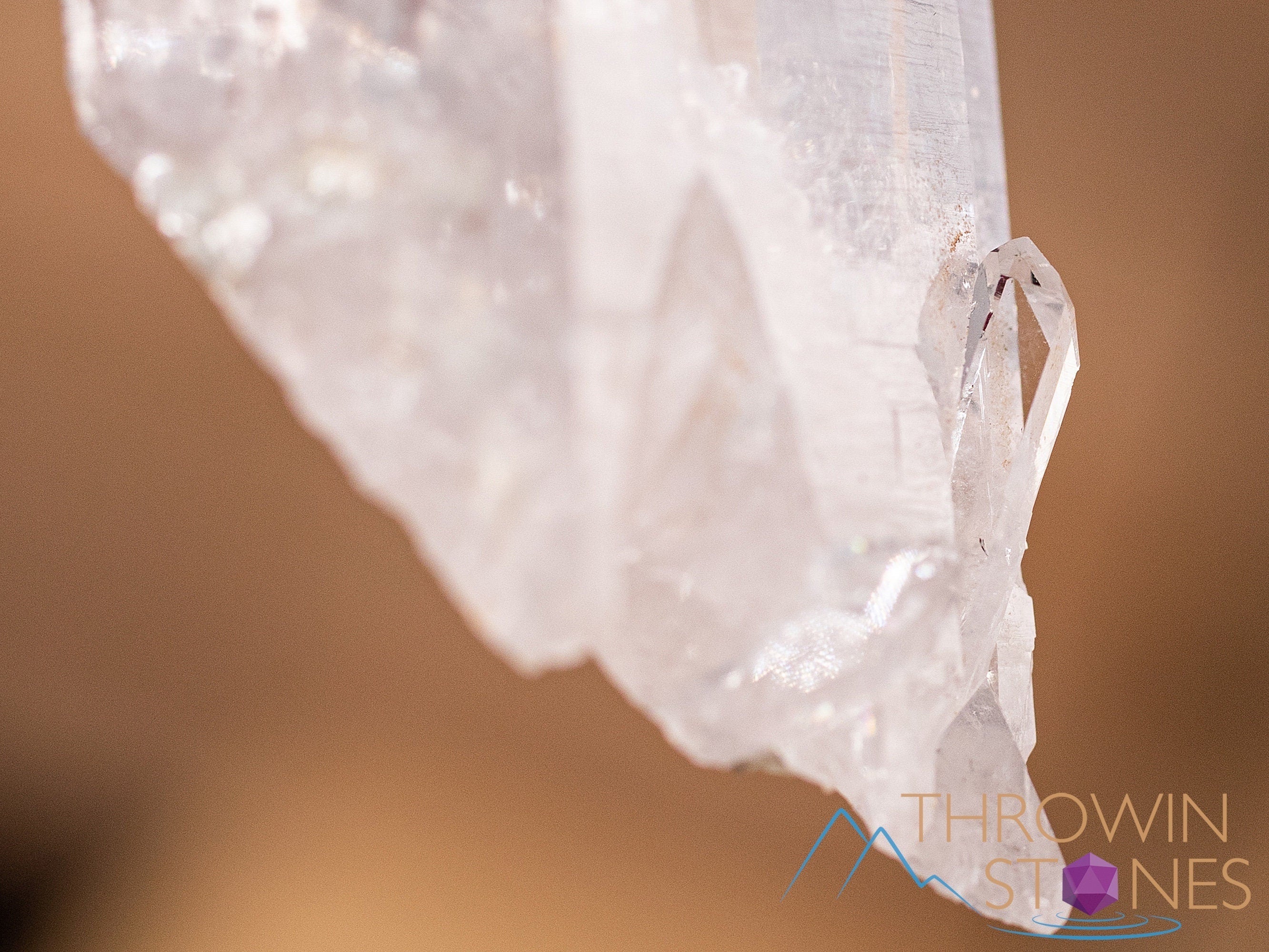 Natural COOKEITE in Clear QUARTZ Raw Crystal - Healing Stone for Home Decor, Housewarming Gift, Meditation & Energy Work (40839)