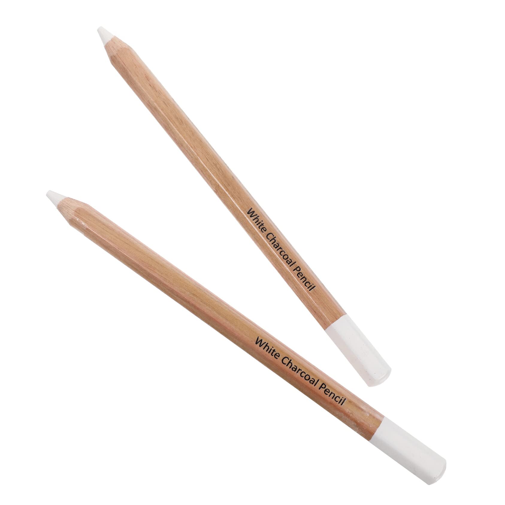 Professional Drawing Pencils - 2pcs Carbon & Charcoal Set for Artists | Sketching & Painting