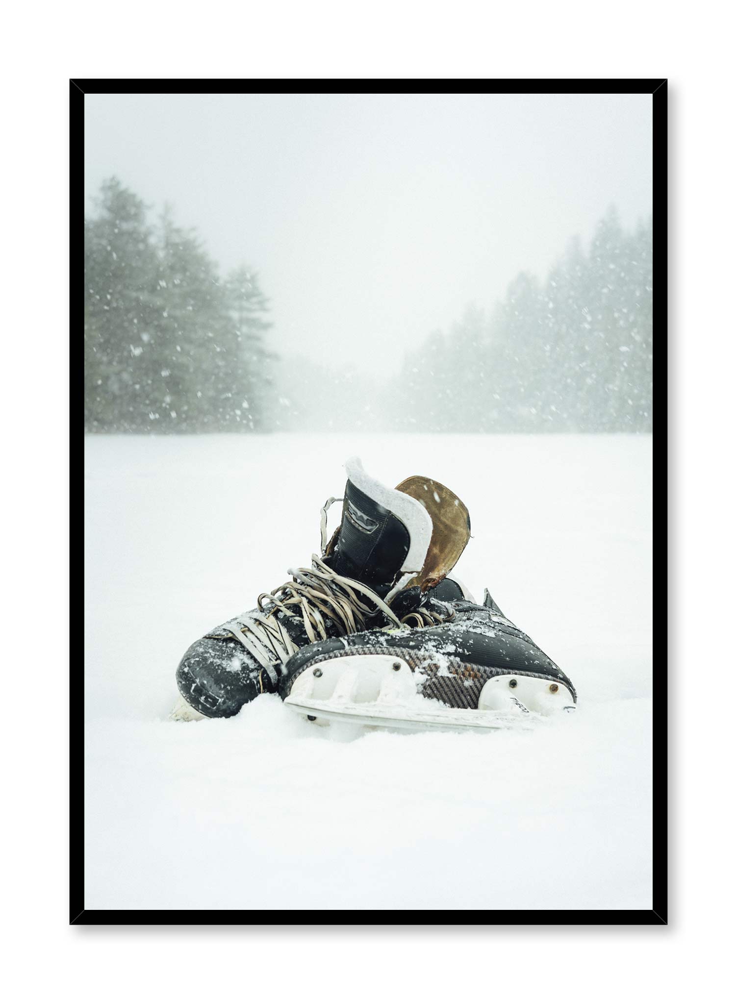 Premium Ice Skates for Men & Women - Professional Figure & Hockey Skates - Perfect for Ice Rinks, Outdoor Skating & Winter Sports