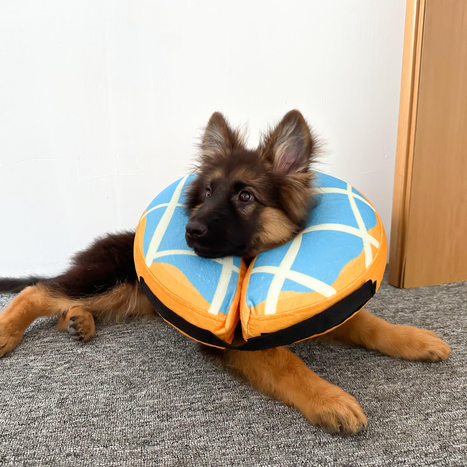 Katoggy Inflatable Dog Cone Collar - Soft Adjustable Blow Up Donut E-Collar for Small, Medium & Large Dogs & Cats - Post Surgery Recovery, Wound Protection & Comfort (Ideal for Spay/Neuter, Injuries & Vet Visits)