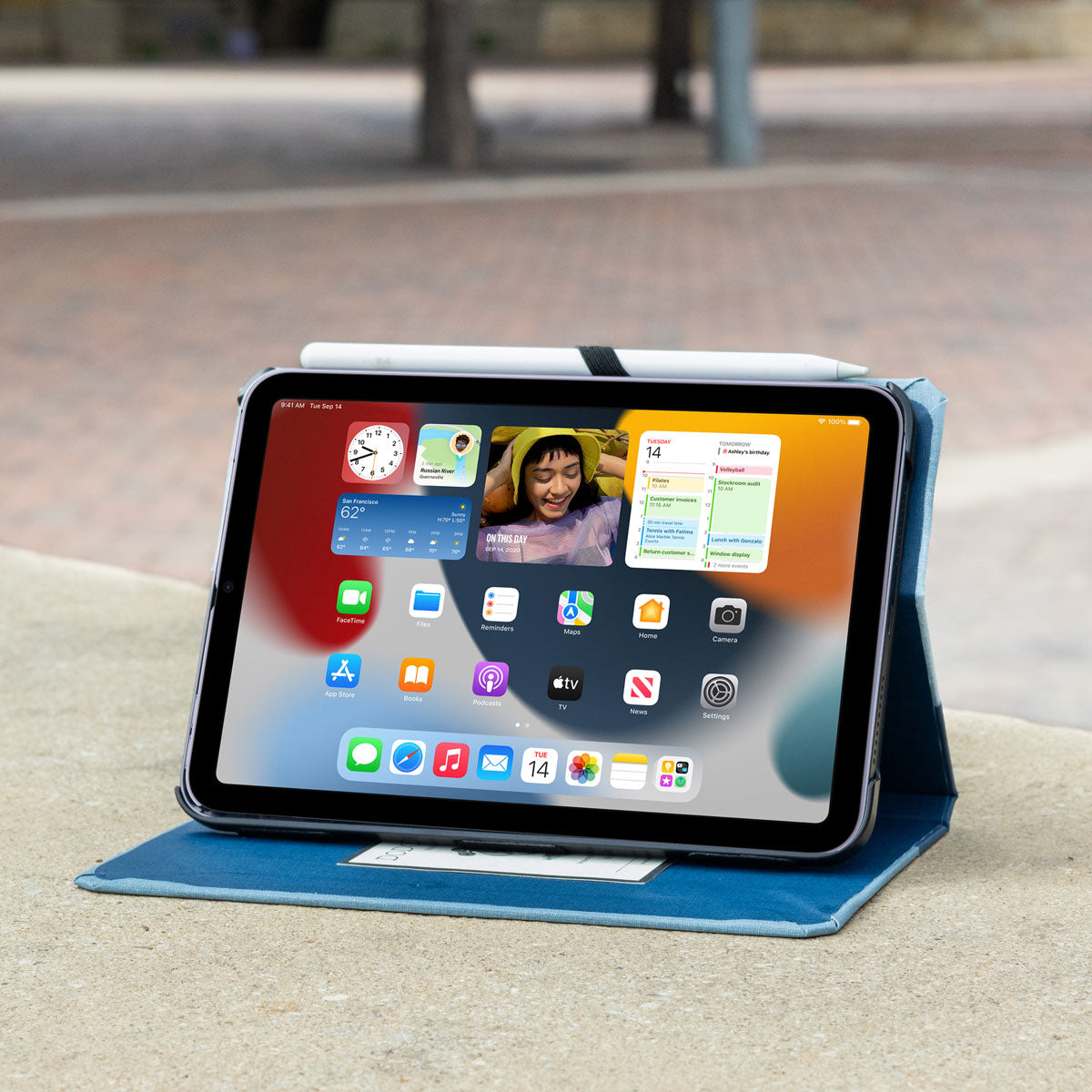Premium Shockproof Case for iPad Mini 1/2/3/4/5/6 & iPad Mini 7 (2024) - Slim Protective Cover with Auto Sleep/Wake | Perfect for Work, Travel & Home Use