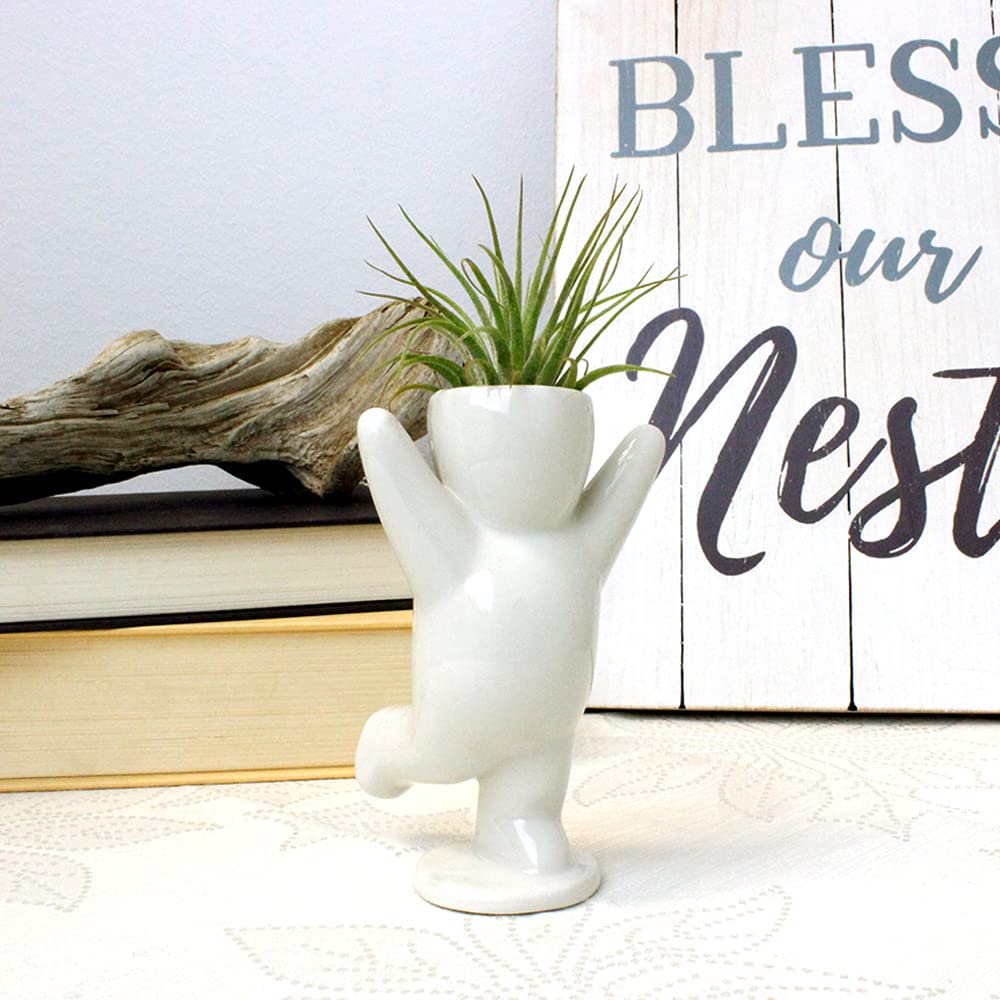 3.25 Inch White Ceramic Happy Face Air Plant Holder - Small Succulent Planter for Tabletop Decor, Office Desk, Home & Garden Display - Perfect for Air Plants, Mini Succulents and Cute Home Decor