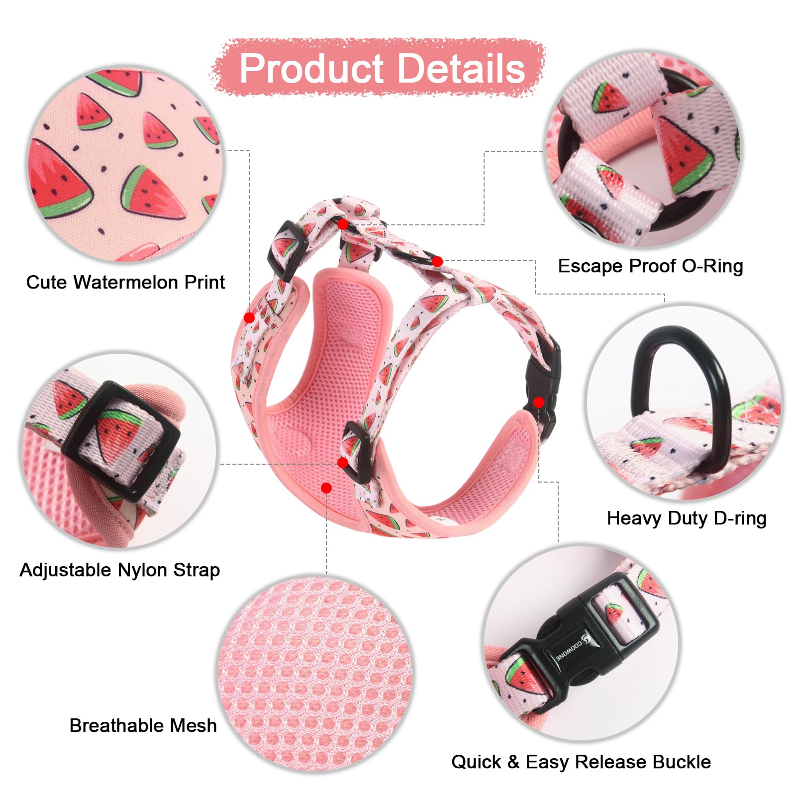 Coowone Adjustable Dog Harness and Leash Set - Soft Padded Vest Harness for Small, Medium & Large Dogs | Perfect for Walking, Training & Outdoor Adventures