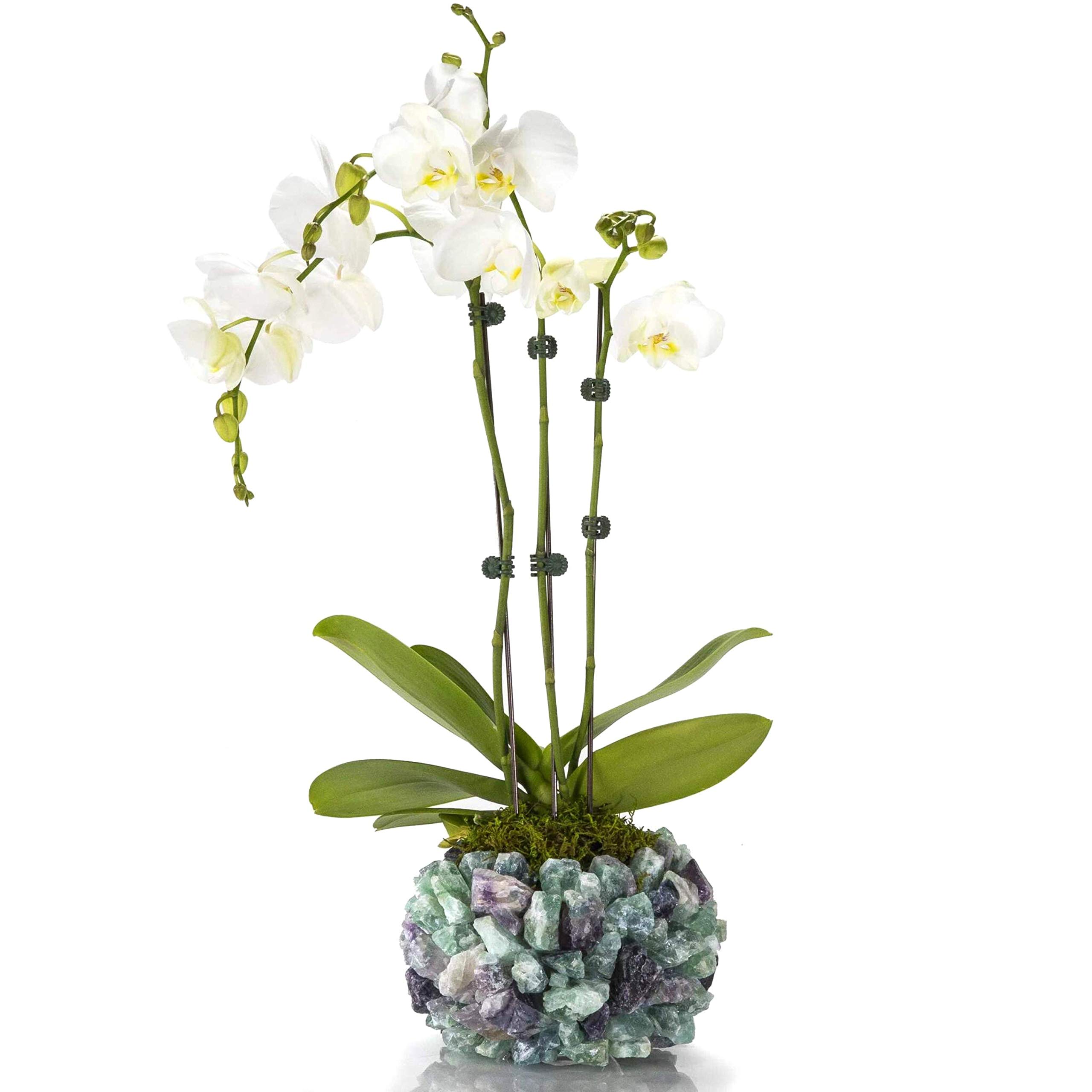 KALIFANO Natural Fluorite Cluster Crystal Vase - Handcrafted Decorative High Energy Elestial Geode for Healing, Meditation & Home Decor | Perfect for Office Desk, Living Room Display & Spiritual Practice
