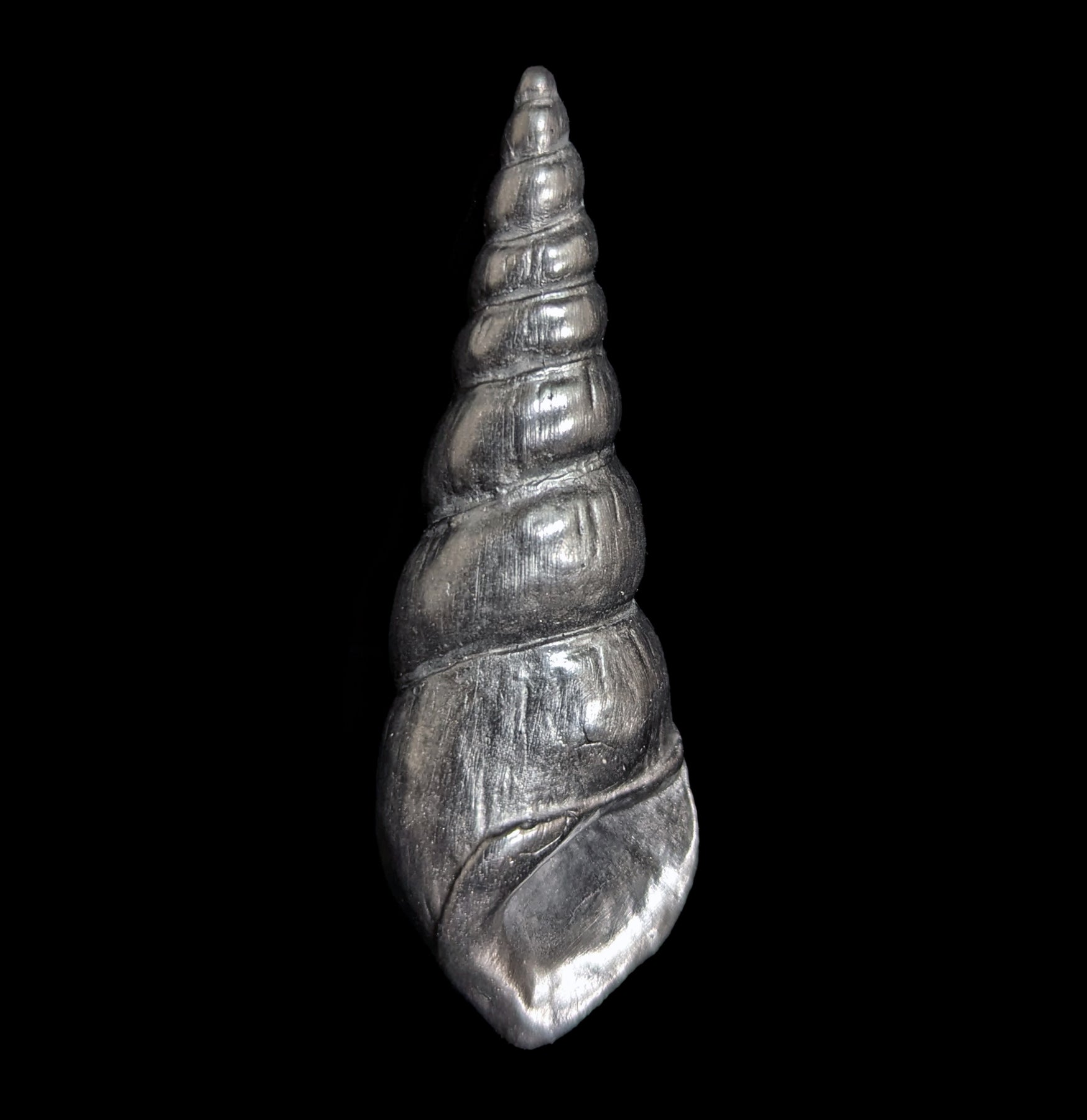 Unique Graphite Shell Decorative Object - Handcrafted Home & Office Decor for Coastal, Boho & Modern Interiors