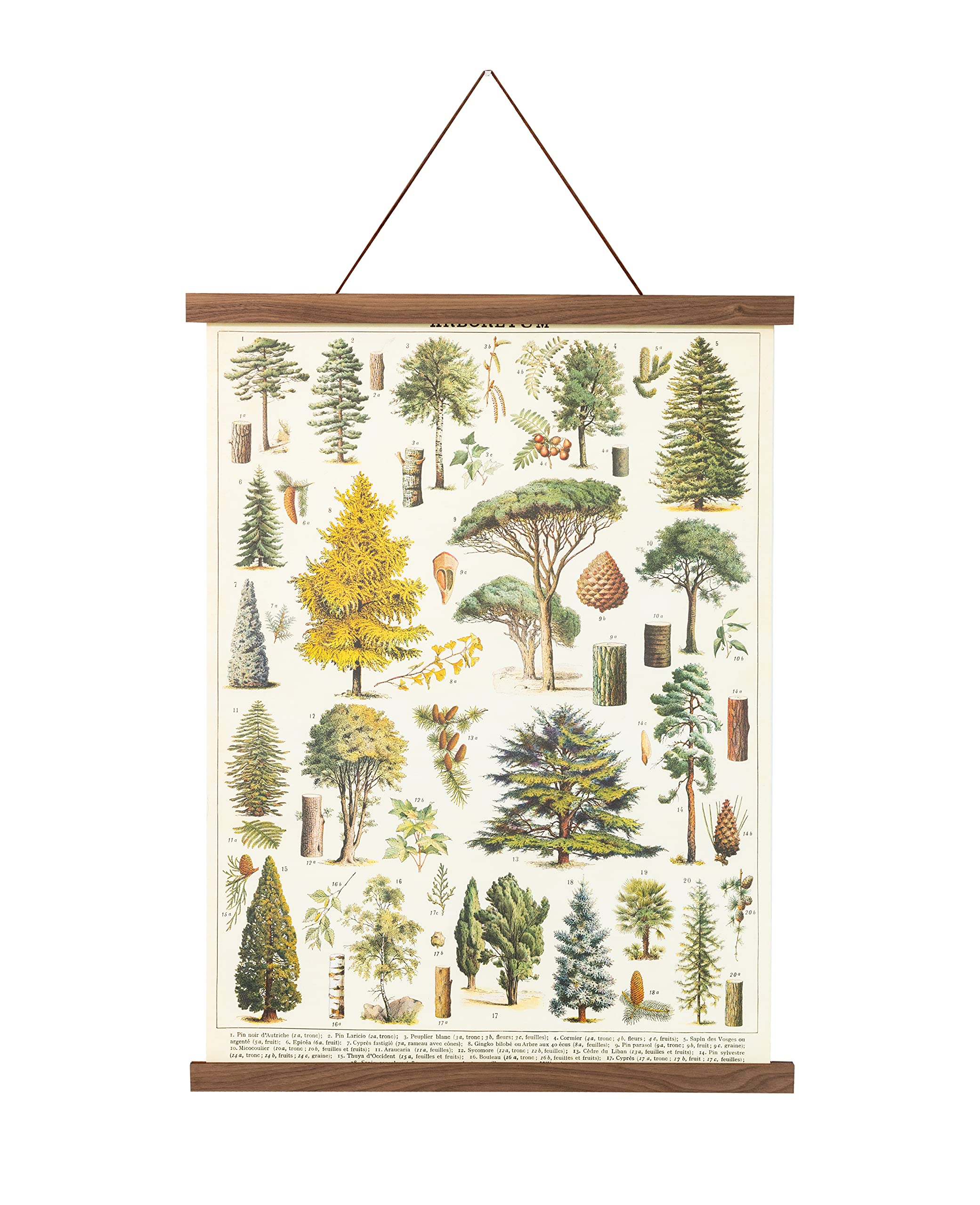 Magnetic Poster Hanger Frames 12x18 & 18x24 - Wall Art Display for Canvas & Tapestry - Easy Hanging Solution