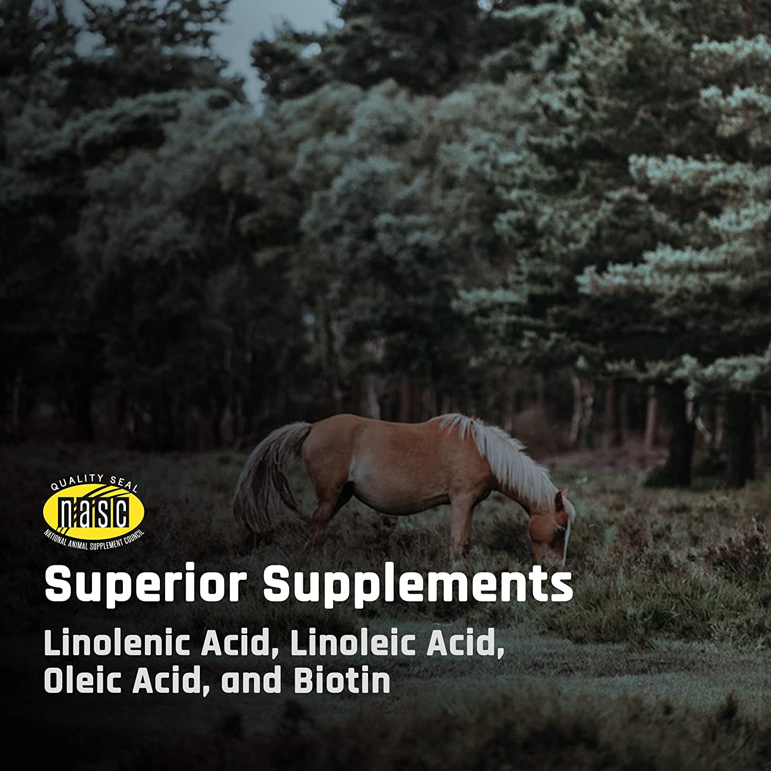 Majesty's BIO+ Biotin Wafers for Horses - Premium Hoof & Coat Supplement with Copper, Zinc, Lysine & Methionine (2 Pack, 120 Count) - Supports Healthy Hoof Growth & Shiny Coat for Show Horses & Performance Equines