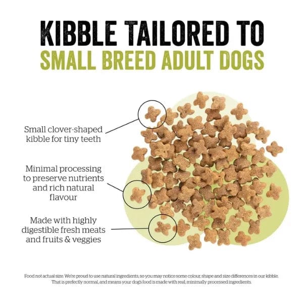 Now Fresh Turkey, Salmon & Duck Recipe Small Breed Adult Dry Dog Food - Grain-Free Protein Rich Kibble for Small Dogs - Perfect for Indoor & Active Lifestyles