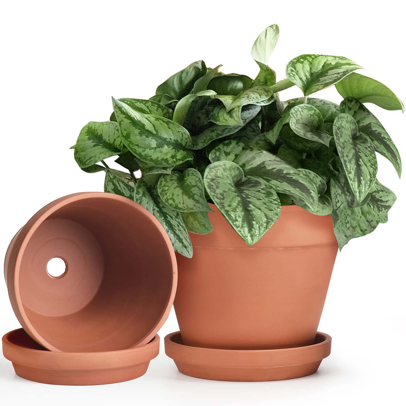 INGOFIN 2-Pack Terracotta Clay Planters with Saucers - 8 Inch Ceramic Flower Pots with Drainage Hole for Indoor Outdoor Plants, Succulents, Herbs, Cacti | Perfect for Home Garden, Balcony Decor, Office Desk & Gift Giving