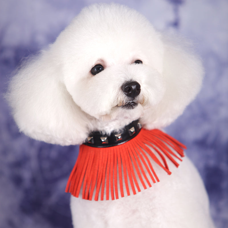 Stylish Orange Tassel Collar for Dogs & Cats - Fashionable Pet Accessory for Daily Walks & Photo Shoots