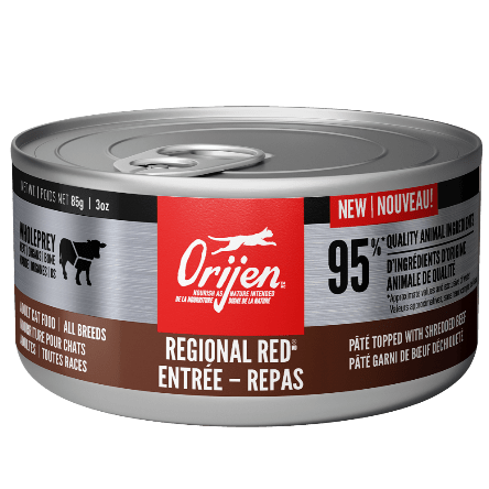 Orijen Regional Red Entrée Grain-Free Canned Cat Food - High Protein, Natural Ingredients for Adult Cats - Perfect for Indoor & Outdoor Felines