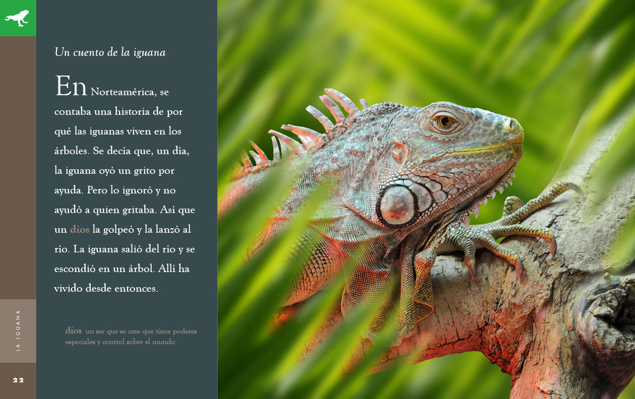 La Iguana Book 9781640266926 - Learn About Iguanas, Reptile Care & Habitat - Perfect for Reptile Lovers & Kids Educational Reading