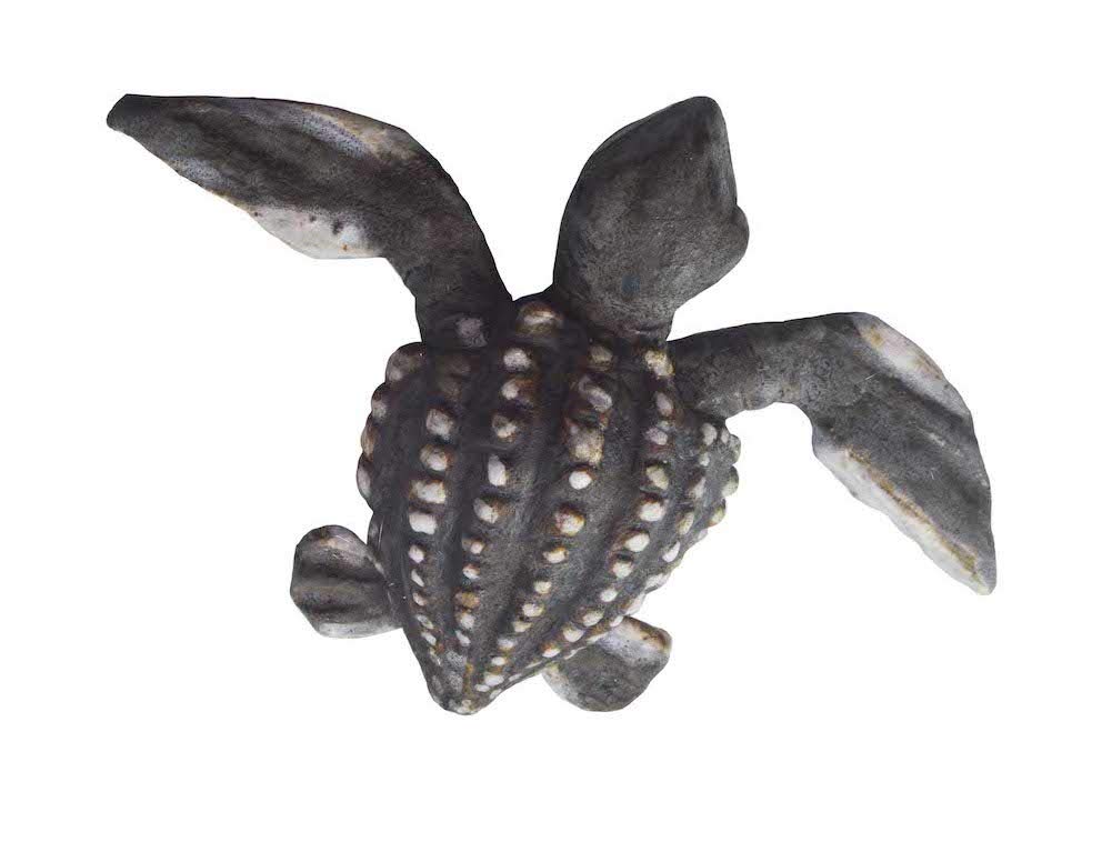 Shayne Greco - Genuine Leatherback Sea Turtle Wall Decor for Baby Nursery & Kids Room | Handmade Ocean-Themed Art for Coastal & Beach House Decor