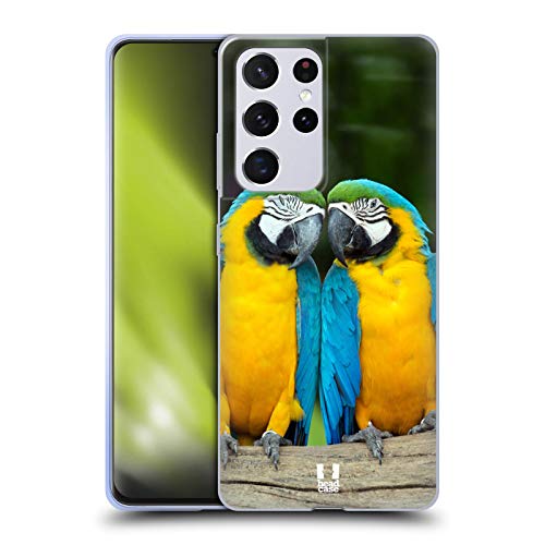 Colourful Macaw Parrot Couple