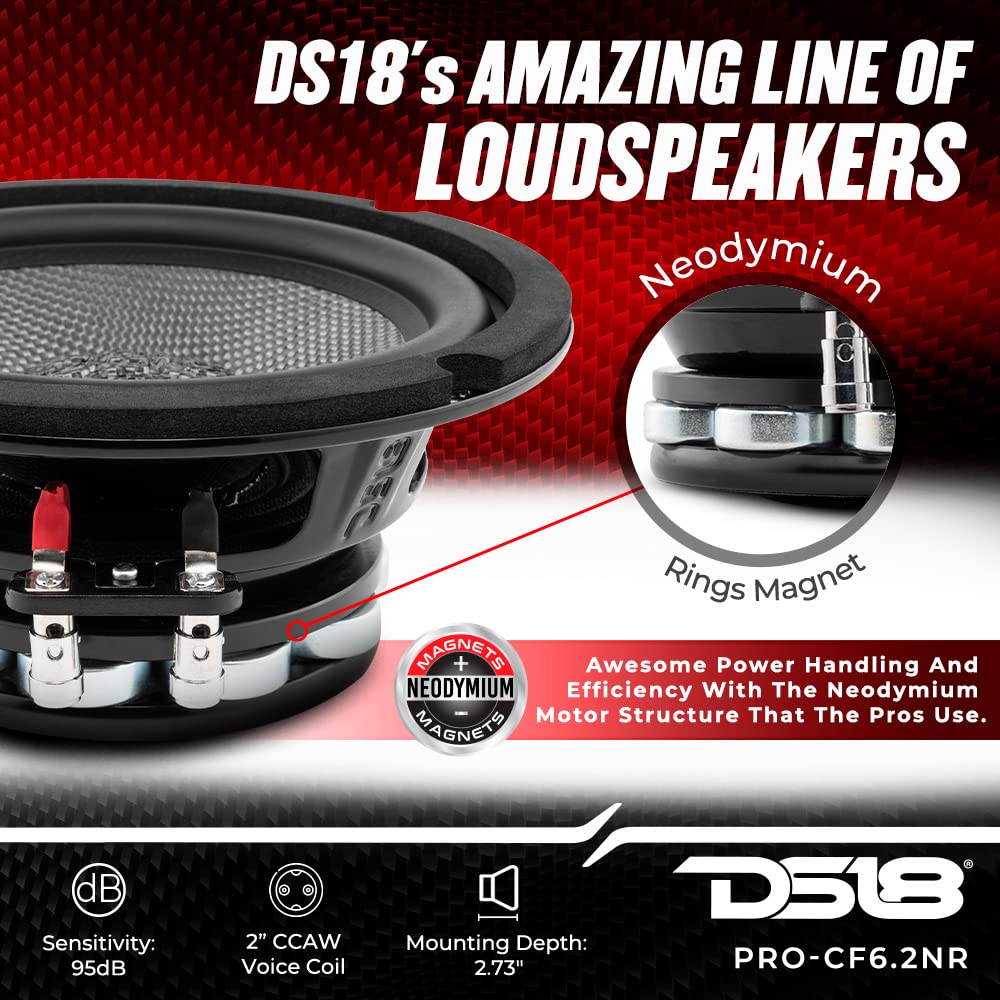 DS18 PRO-CF6.2NR 6.5