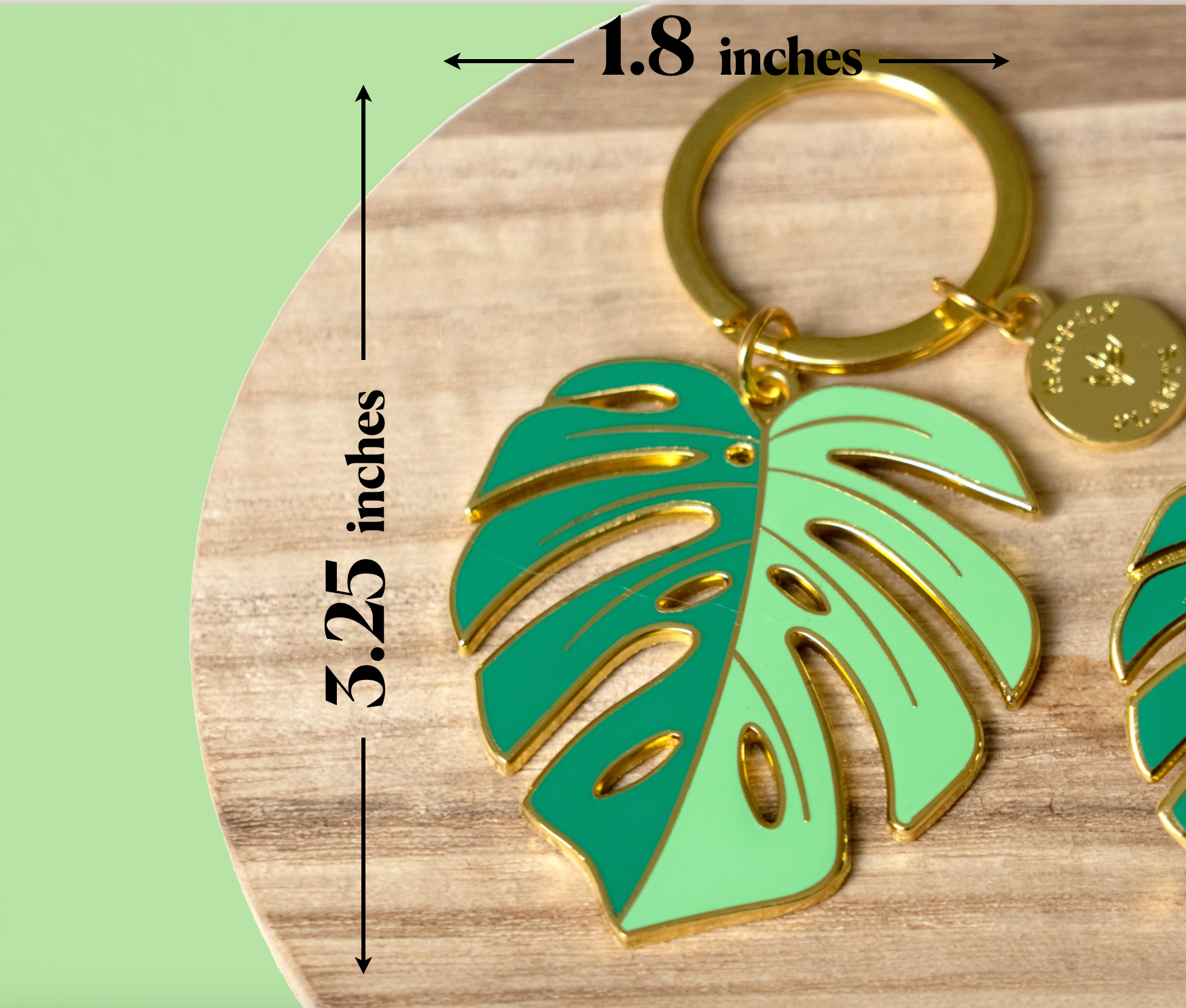 Monstera Deliciosa Keychain for Plant Lovers - Unique Botanical Gift for Gardeners & Plant Enthusiasts - Perfect for Home Decor, Office Accessories, and Plant-Themed Parties