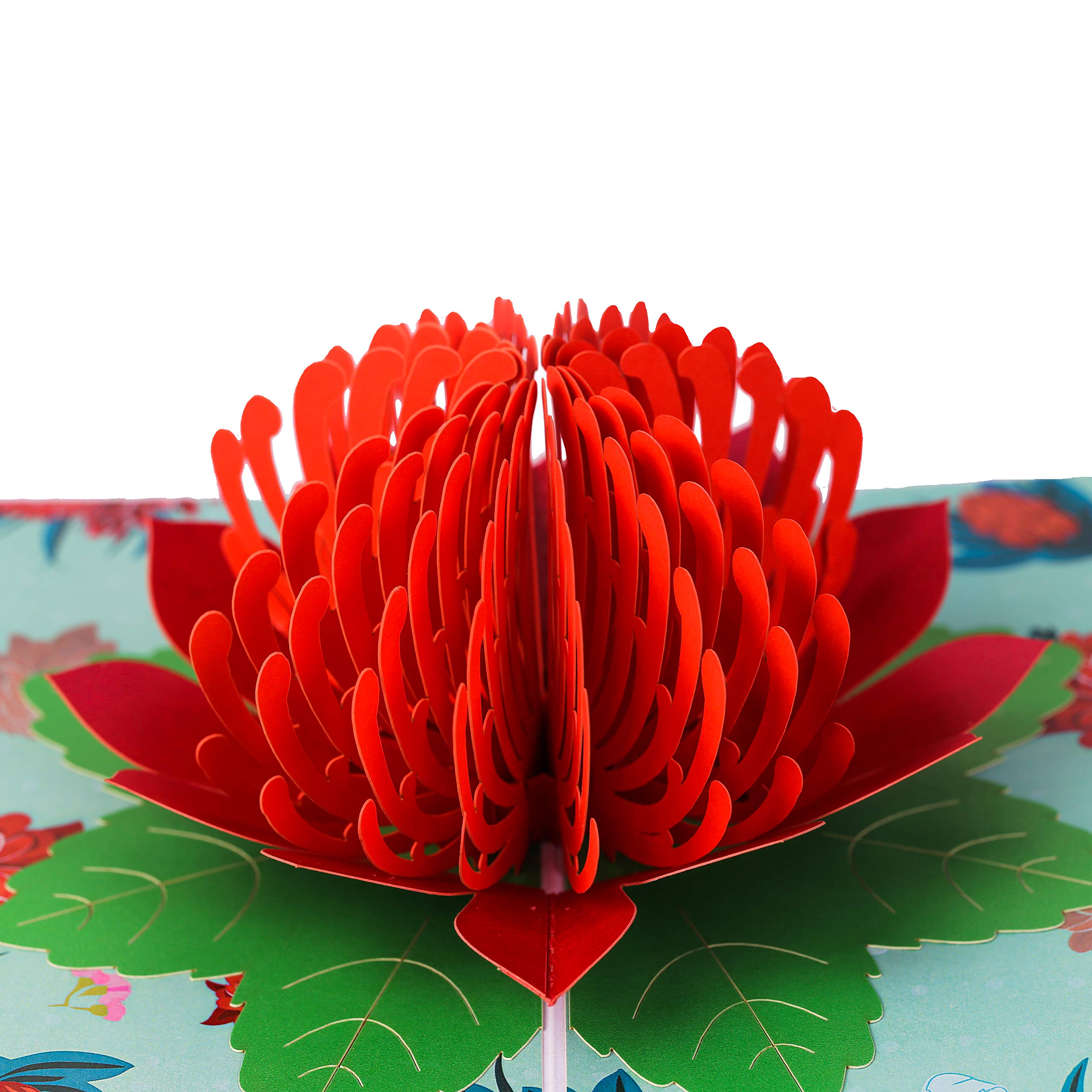 TRUANCE 3D Pop Up Greeting Cards - Waratah Flower Design for Mother's Day, Birthday, Anniversary, Father's Day - Romantic Gift for Husband/Wife with Blank Writing Space | Perfect for Weddings, Valentine's Day & Special Occasions