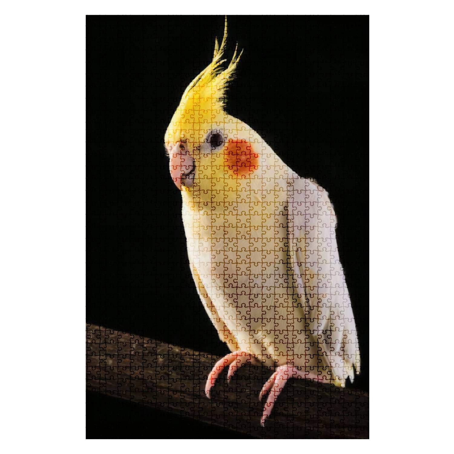 1000-Piece Wooden Jigsaw Puzzle - Cockatiel Yellow Parrot - Fun & Challenging DIY Board Game for Adults & Kids - Educational Toy & Home Decor Gift - Perfect for Family Game Nights, Brain Training & Wall Art Display