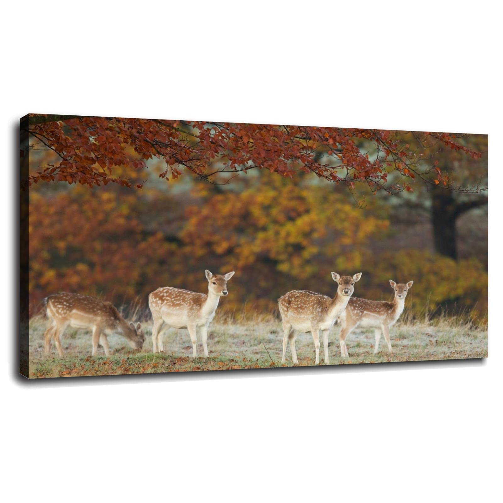 Deer Prints Canvas Wall Art - Sika Deer Photography Poster 36